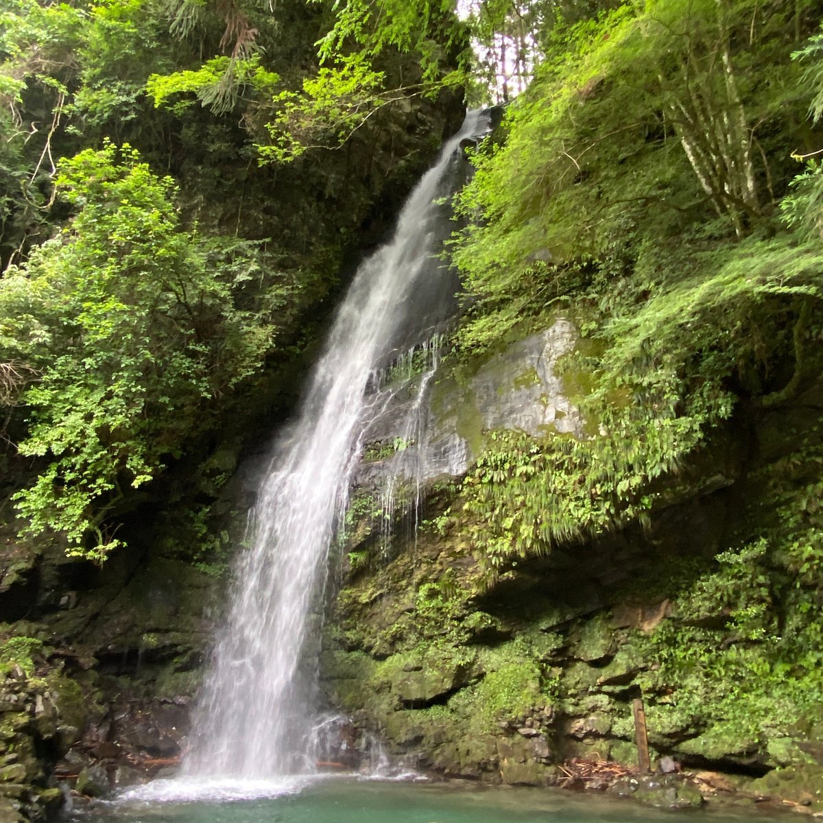 🌊 비와 폭포(비와노타키) 이미지 11